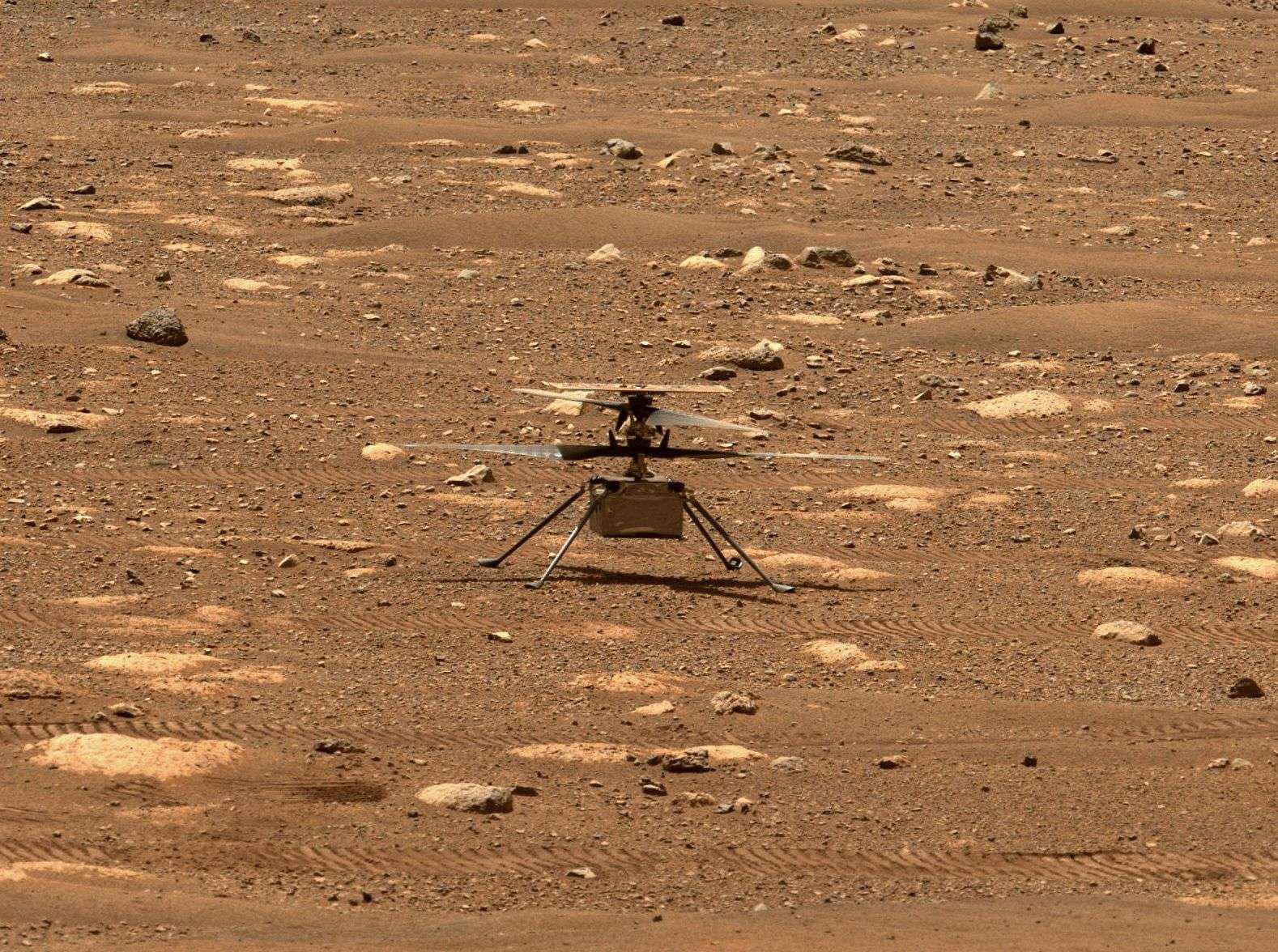 إنجينيويتي