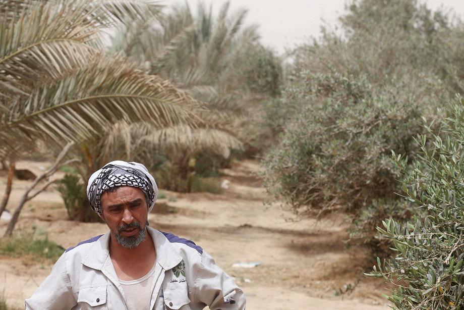 كربلاء