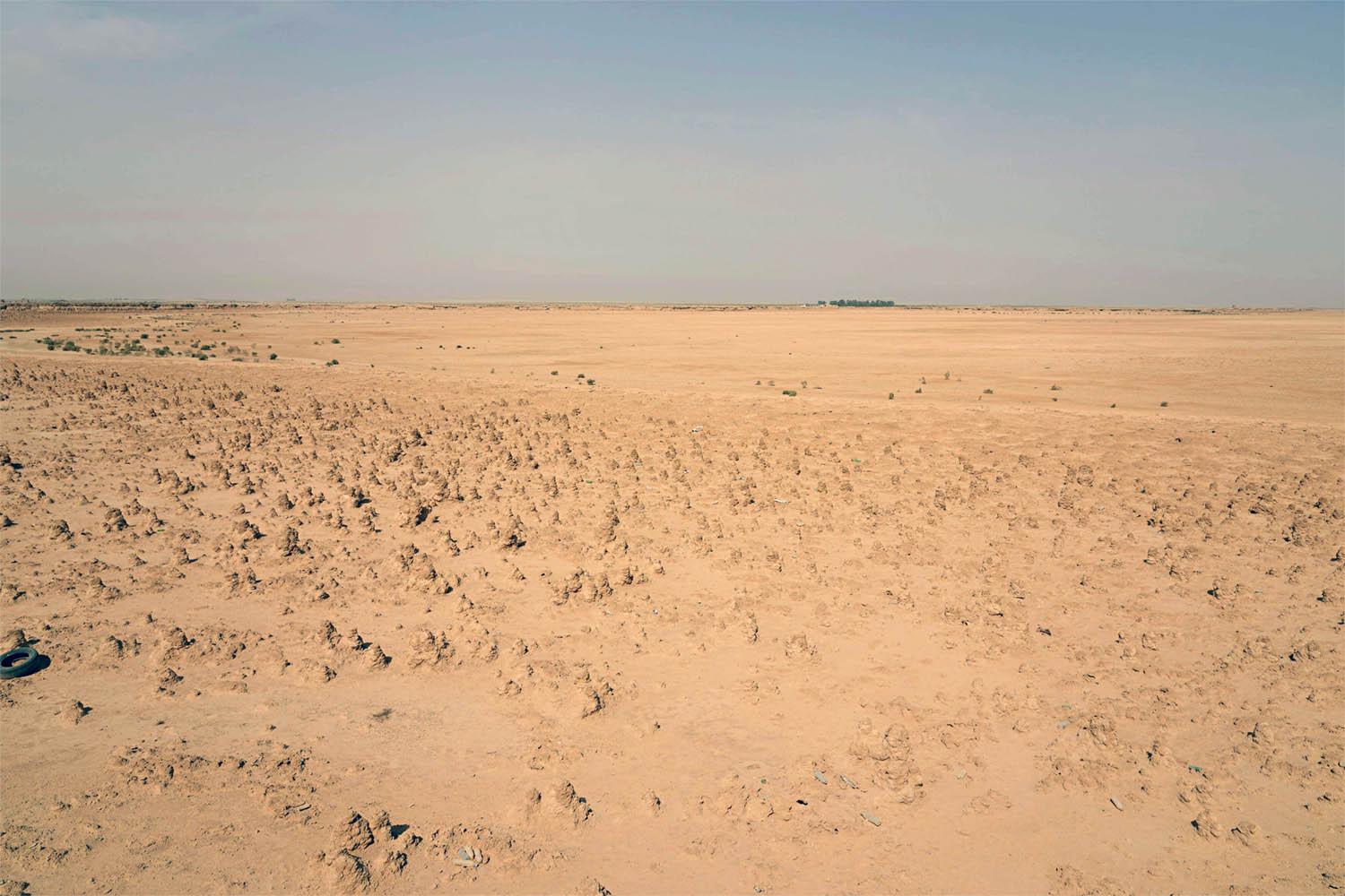 The drought has disrupted a delicate and interdependent ecosystem sustained by the rare desert oasis