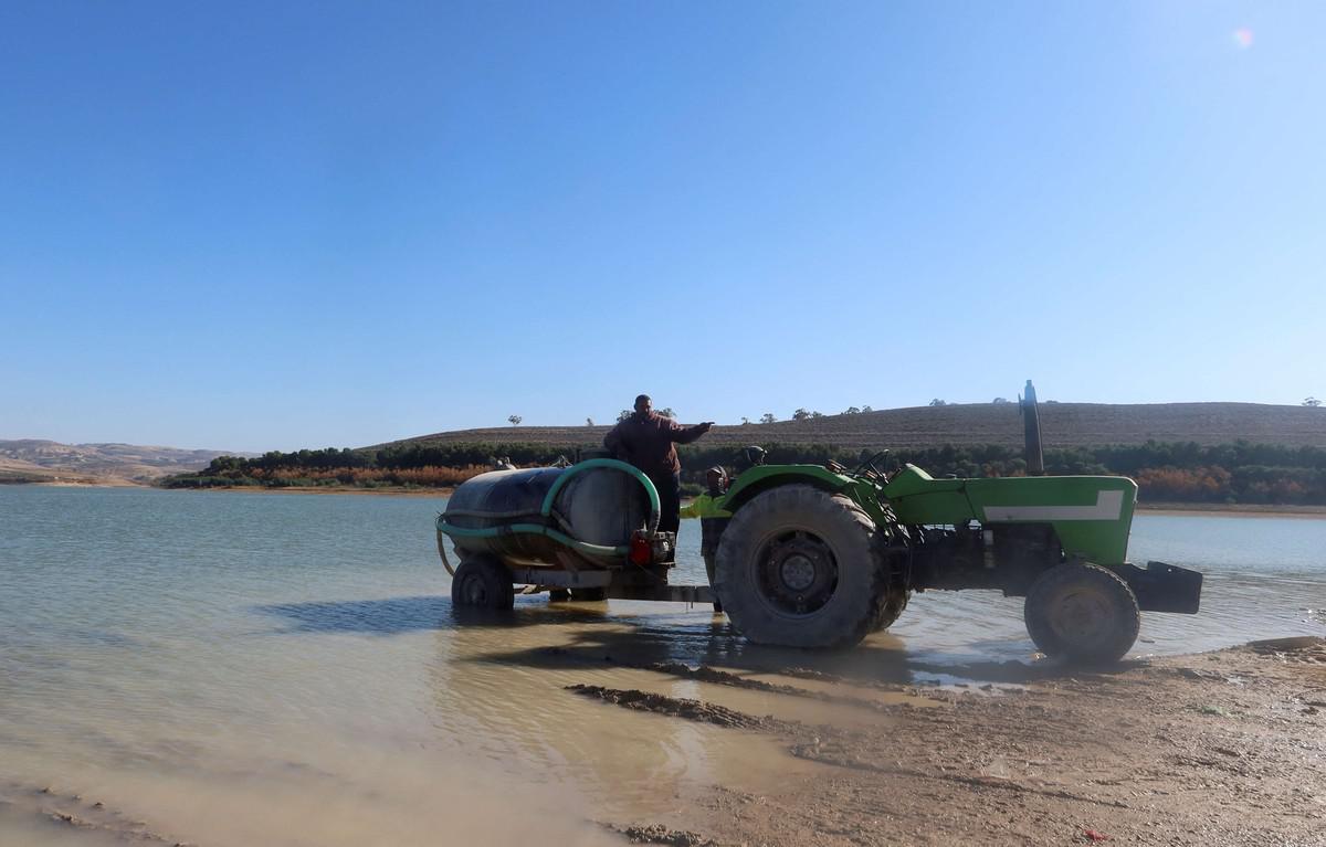 تونس