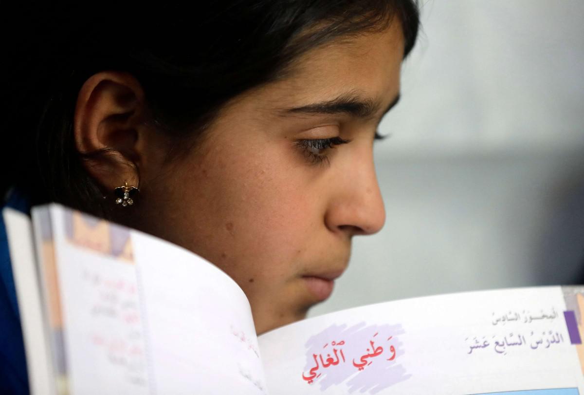 المناهج الدراسية 