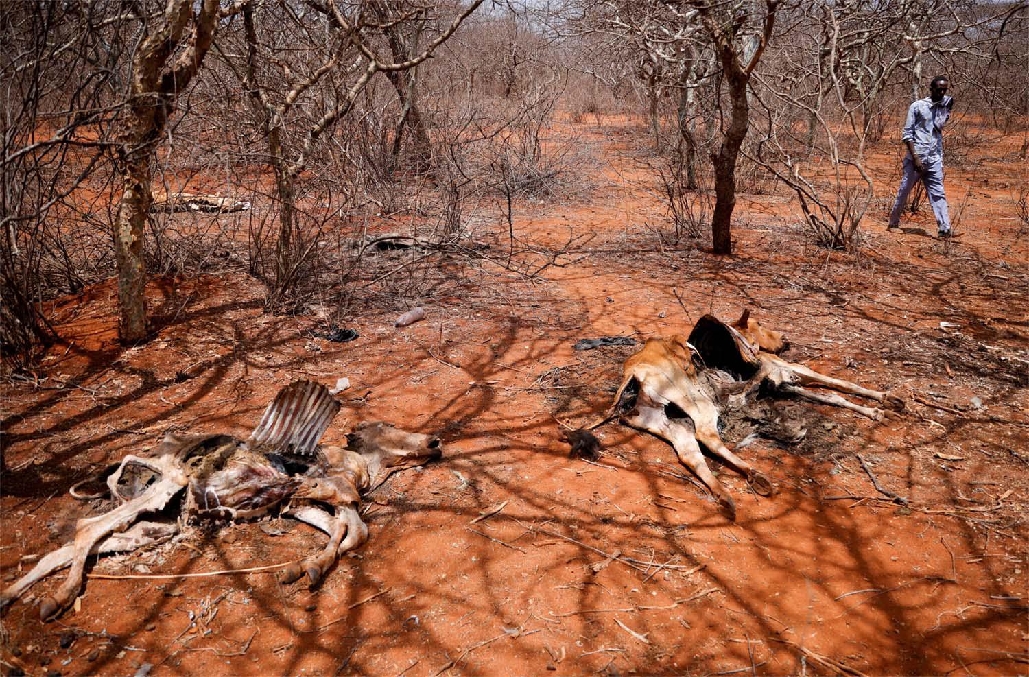 African countries are increasingly exposed to the impact of extreme weather linked to climate change
