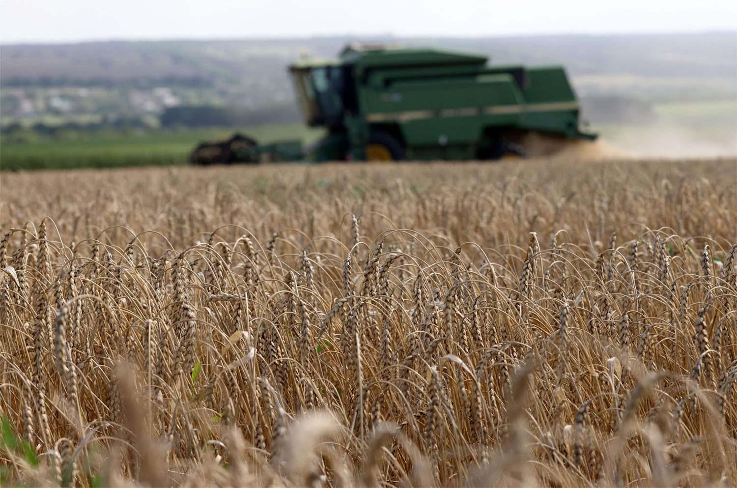 Russia in July quit a year-old deal that had allowed Ukraine to ship grain from its Black Sea ports