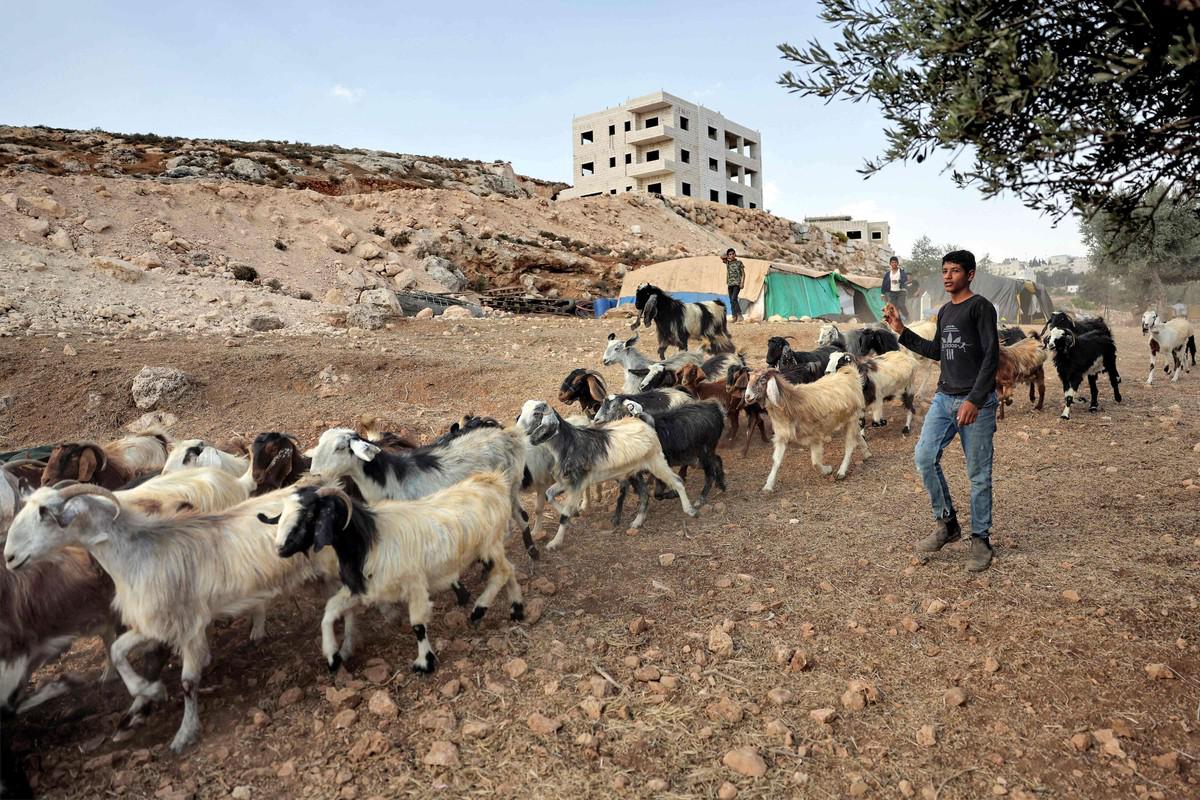 البدو لم يندمجوا ضمن المجتمع الاسرائيلي