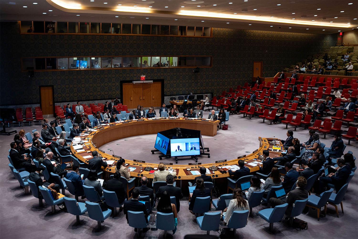 UN Security Council