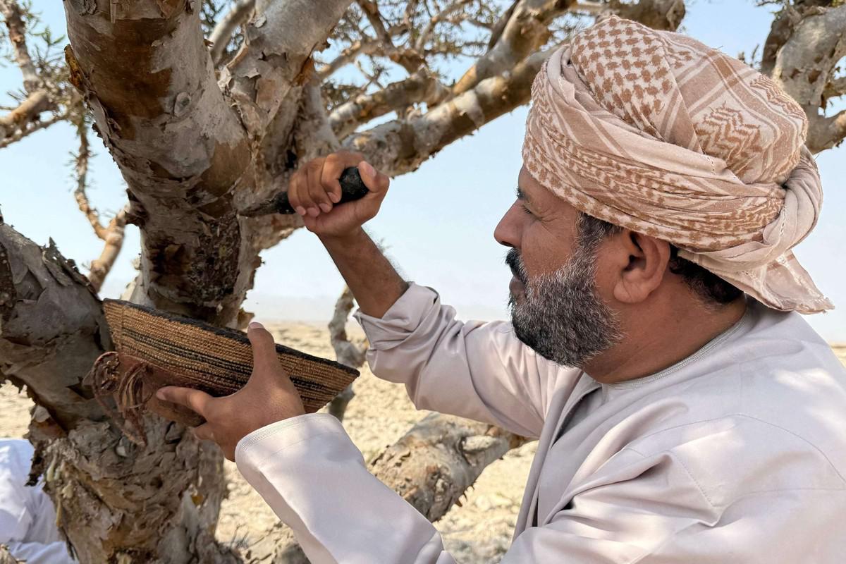 اللّبان