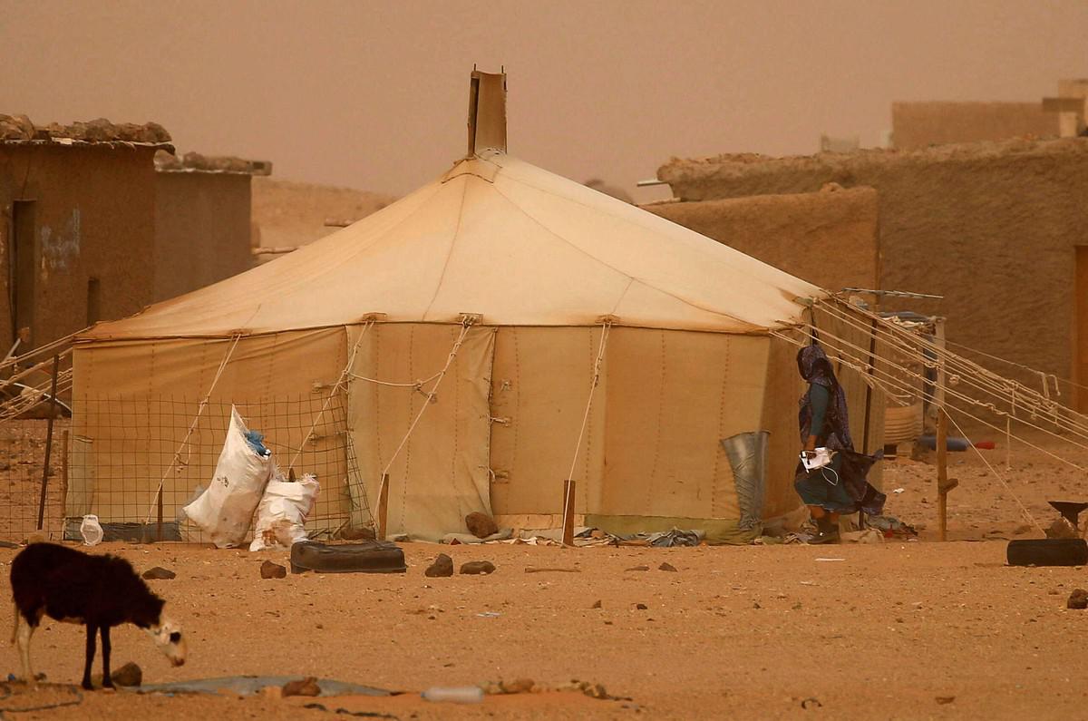 عقود من المعاناة تحت حراب بوليساريو 