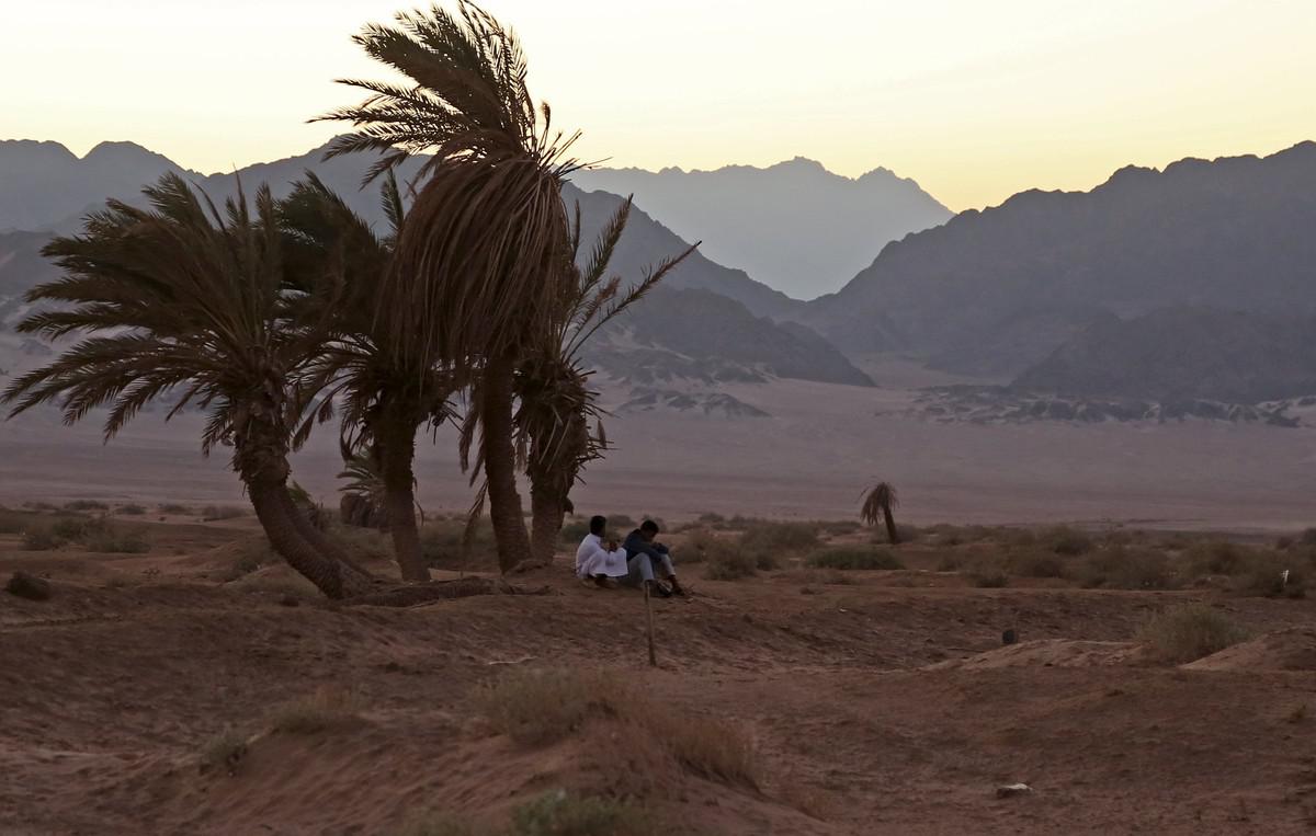 رحلة