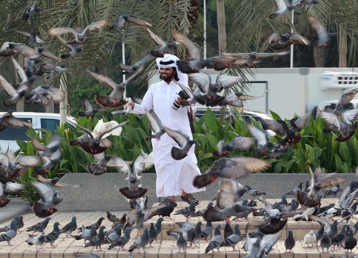 الحمام الزاجل