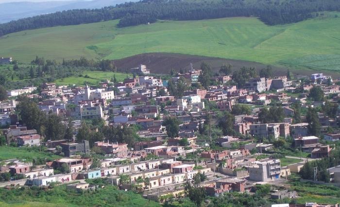 سليانة