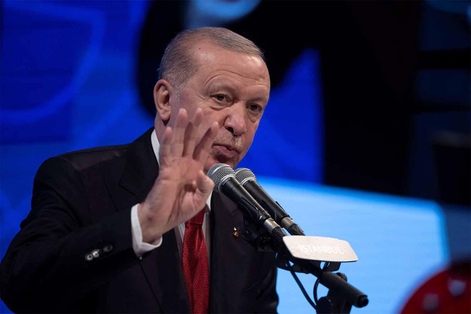 Erdogan called for urgent action to prevent further bloodshed