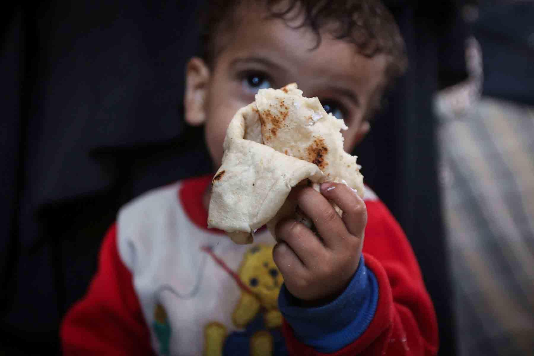 ‘Hunger has never been as severe as now’
