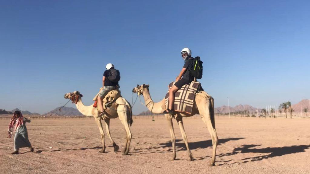 جمال أسوان
